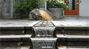 Bellevue events, happenings & attractions
