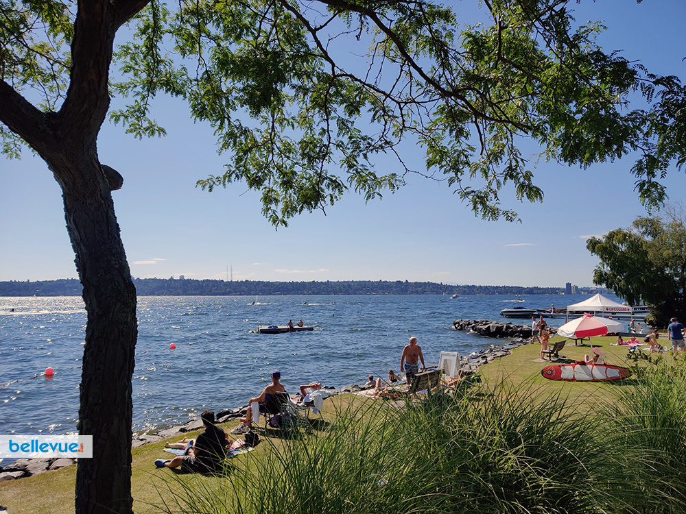 Meydenbauer Bay Park | Bellevue.com