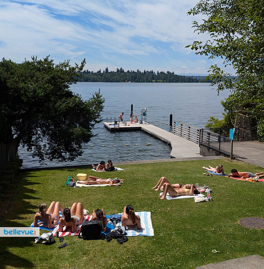 Chesterfield Beach Park | Bellevue.com