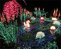 Bellevue Garden Delights | Bellevue.com