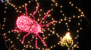 Garden d'Lights | Bellevue.com