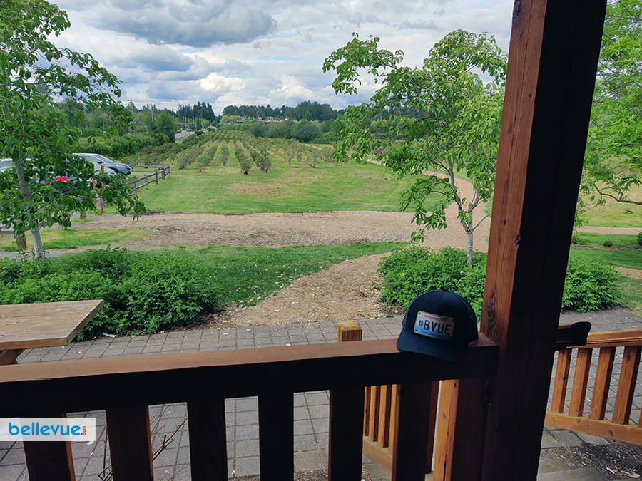 Lake Hills Greenbelt Trails - Larsen Lake Blueberry Farm | Bellevue.com