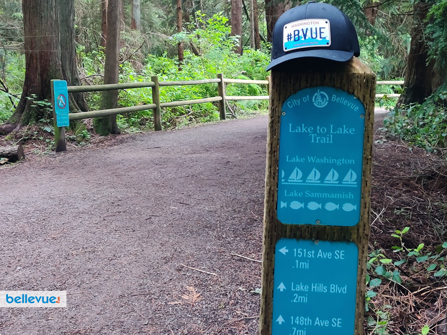 Lake Hills Greenbelt Trails | Bellevue.com