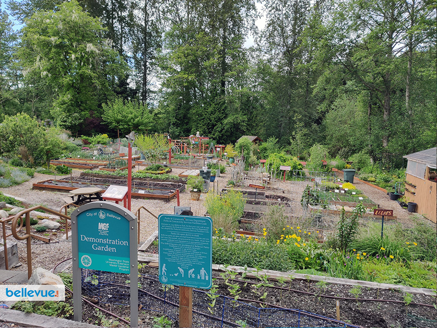 Lake Hills Greenbelt Trails - Demonstration Garden | Bellevue.com
