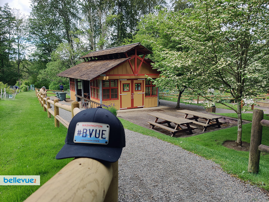 Lake Hills Greenbelt Trails - Demonstration Garden | Bellevue.com