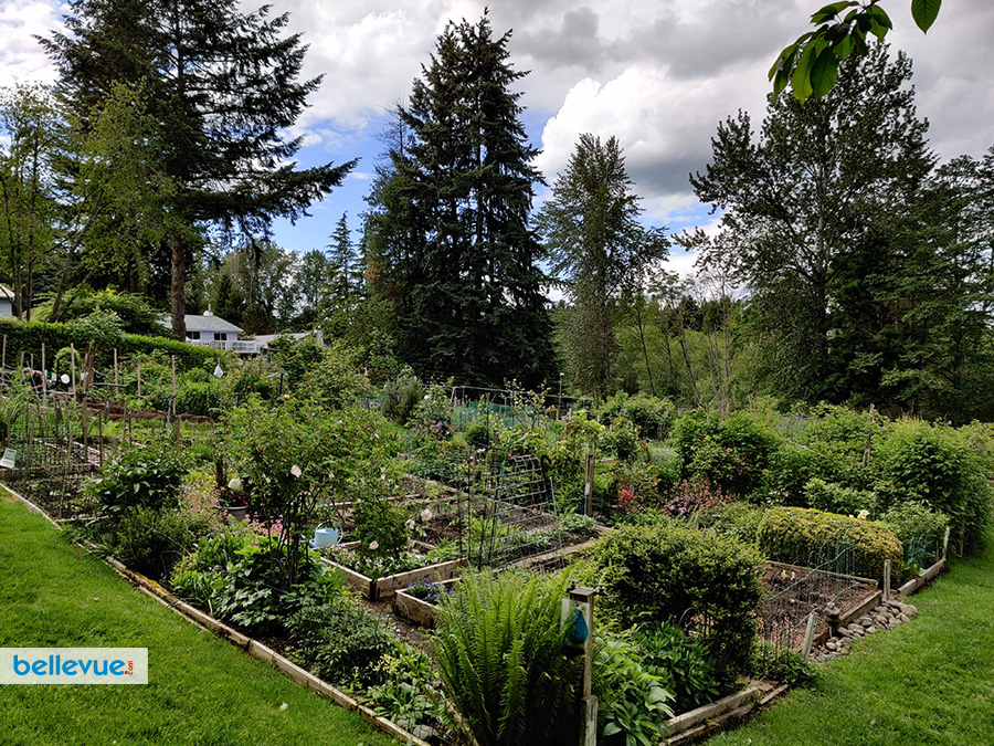 Lake Hills Greenbelt Trails - Demonstration Garden | Bellevue.com