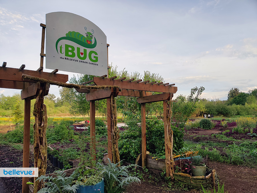 Lake Hills Greenbelt Trails - Bellevue Urban Garden at Phantom Lake | Bellevue.com