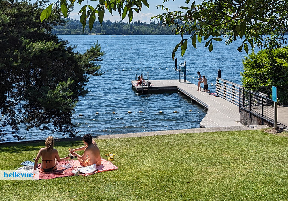 Chesterfield Beach Park | Bellevue.com