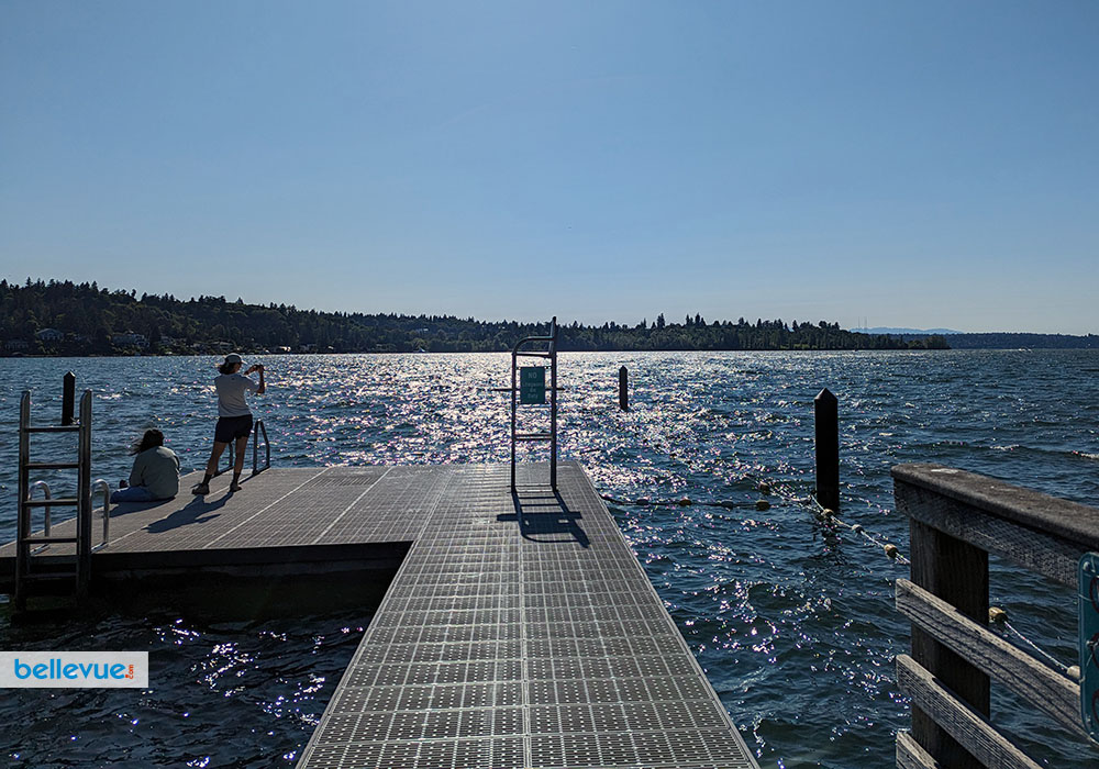 Chesterfield Beach Park | Bellevue.com