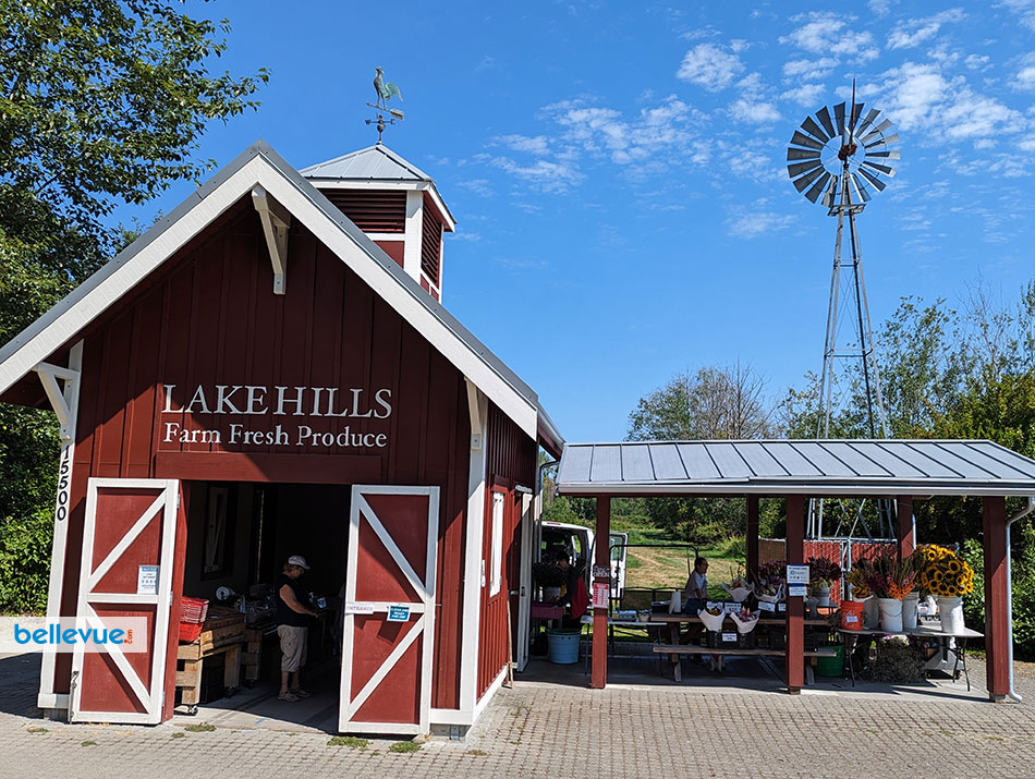 Larsen Lake Blueberry Farm at Lake Hills | Bellevue.com