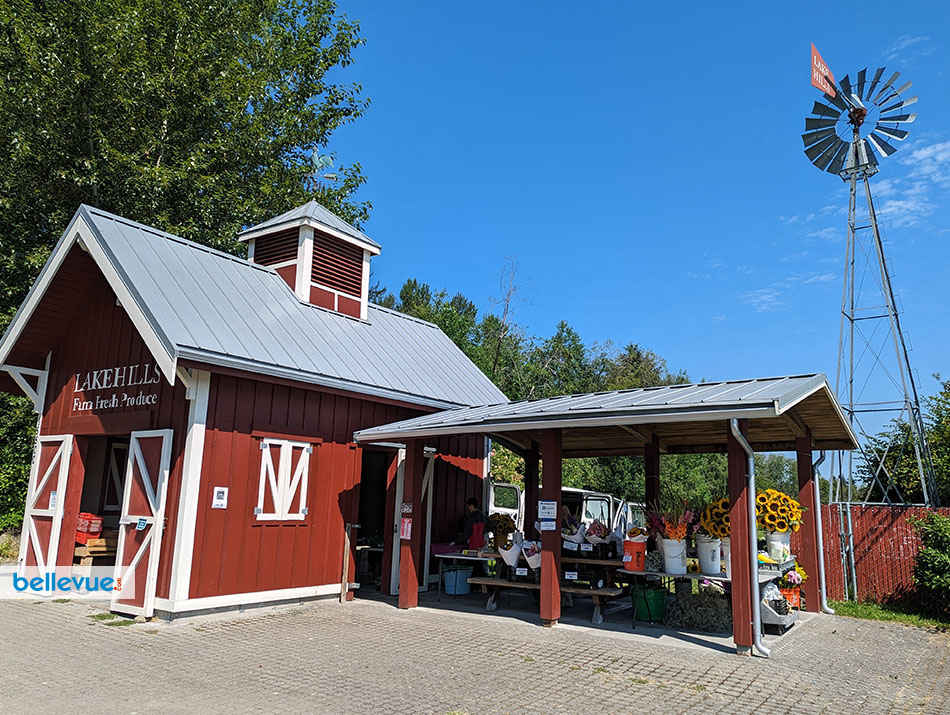 Larsen Lake Blueberry Farm at Lake Hills | Bellevue.com