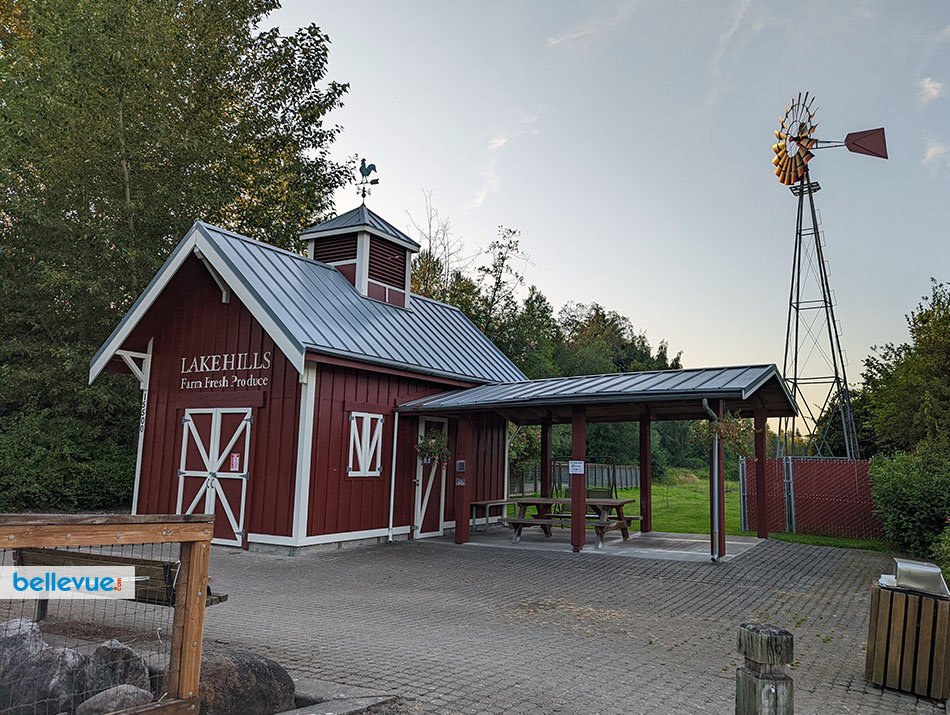 Larsen Lake Blueberry Farm at Lake Hills | Bellevue.com