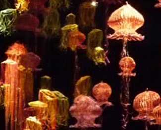 Bellevue events, happenings & attractions