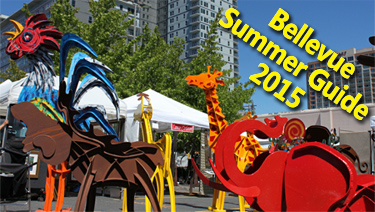 Bellevue Summer Guide Fireworks